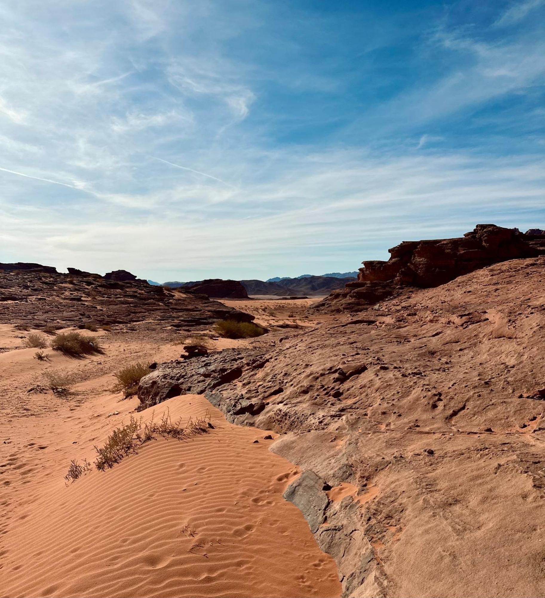 Salameh'S Bedouin Camp Hotel Wadi Rum Eksteriør billede